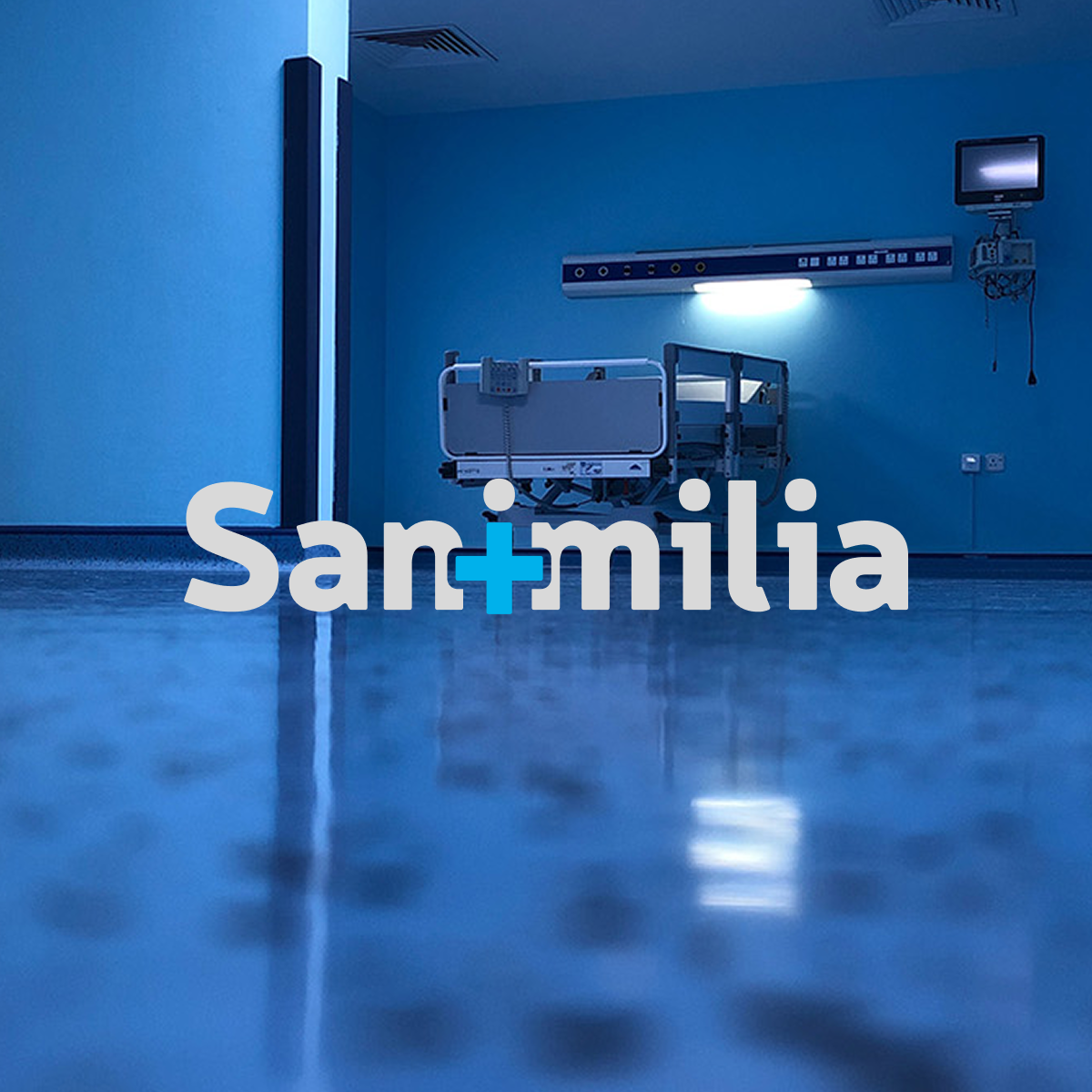 Sanimilia